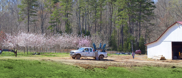 Tree Farm South Carolina Dave Decker