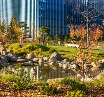 a-tranquil-urban-park-with-a-small-pond-surrounded-2026-03-18-14-54-18-utc